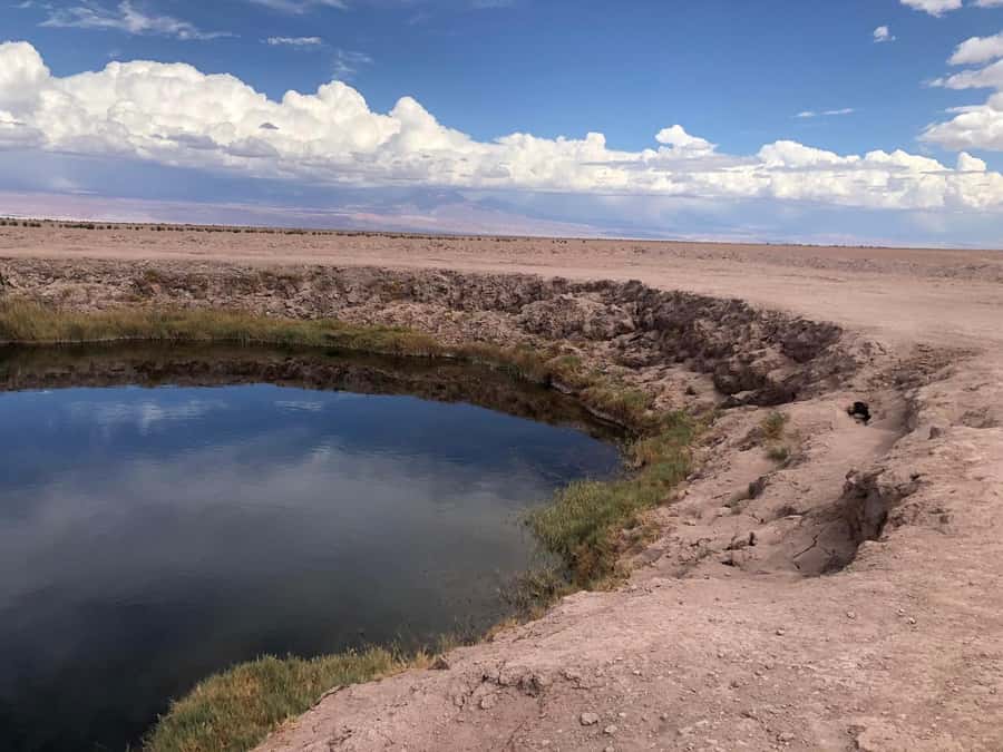 San Pedro de Atacama: Cejar Lagoon, Tebenquiche & Ojos Salar - Starting in San Pedro and heading into the salt flat