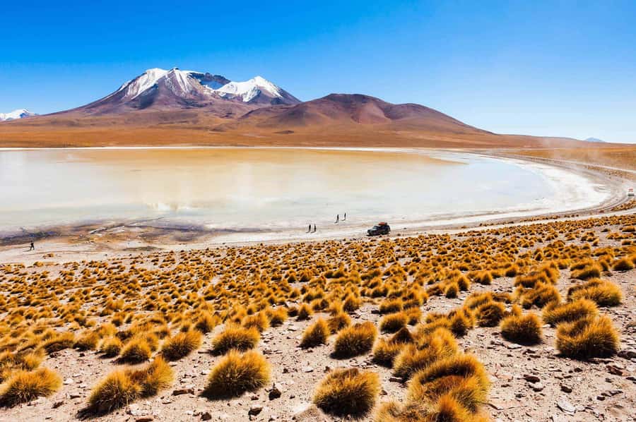 San Pedro de Atacama Day Trip: Atacama Desert and Salt Flats - A Seven-Hour Route Through Atacama’s High Desert