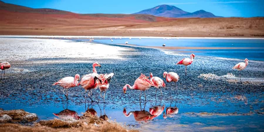San Pedro de Atacama Day Trip: Atacama Desert and Salt Flats - Monjes de Pacana: Giant Volcanic Forms in Open Country