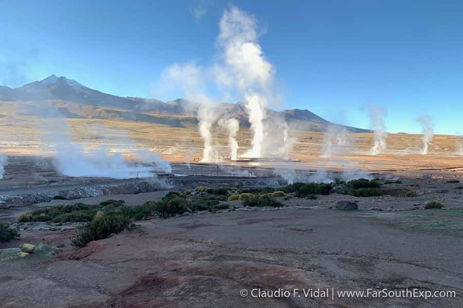 San Pedro de Atacama: El Tatio Geyser Field and Wetlands - Key points at a glance
