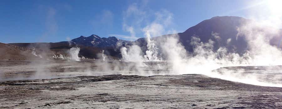 San Pedro de Atacama: El Tatio Geysers & Machuca Lagoon Trip - Machuca Lagoon and its highland birds