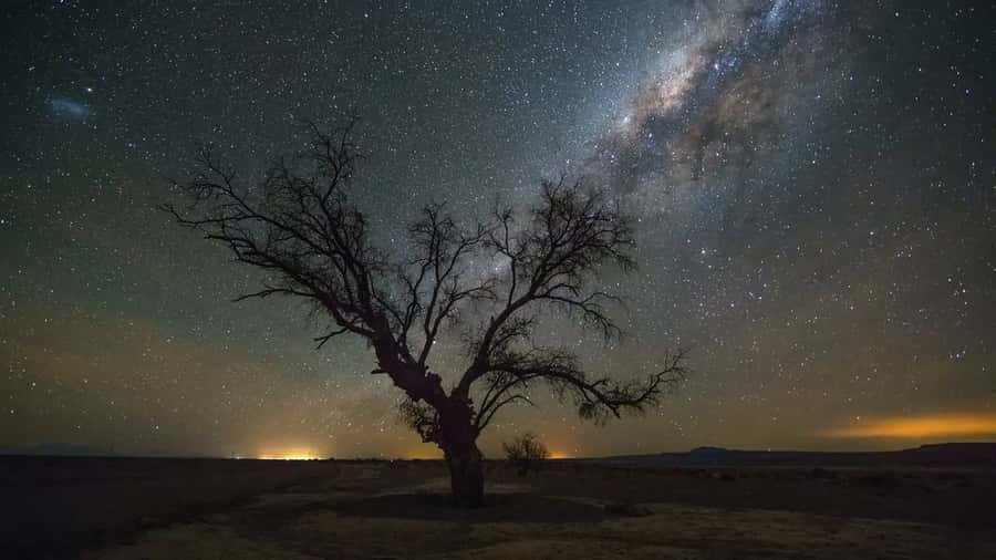 San Pedro de Atacama: Guided Atacama Desert Stargazing Tour - Why the Atacama night sky matters