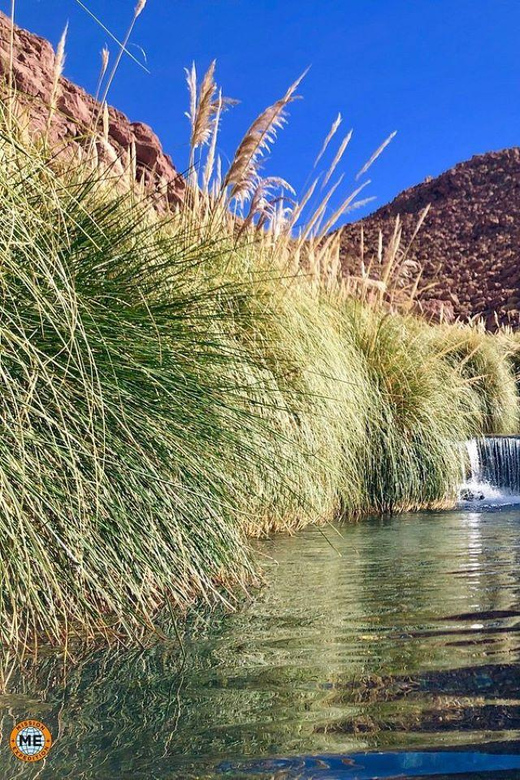San Pedro de Atacama: Puritama Hot Springs - Key points to know before booking