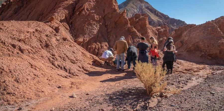 San Pedro de Atacama: Rainbow Valley & Good Herbs Tour - What the $48 price really covers
