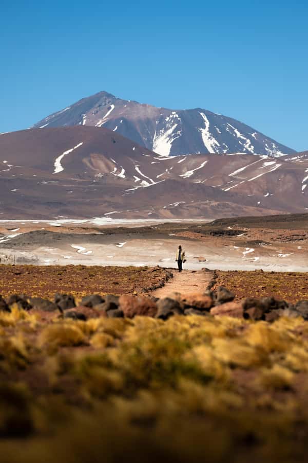 San Pedro de Atacama: Red Rocks & Altiplano Lagoons Day Trip - Who should book this Atacama day trip?