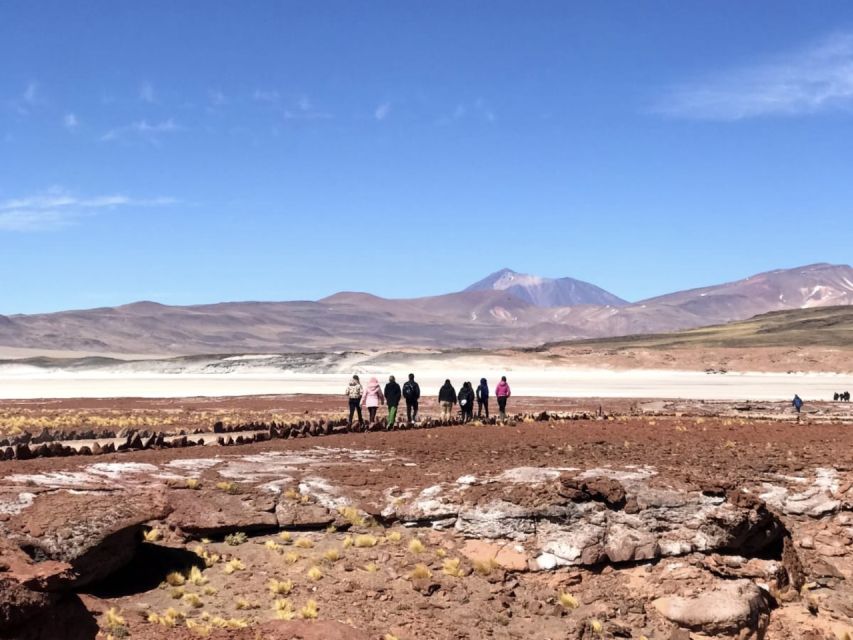 San Pedro de Atacama: Red Rocks & Altiplano Lagoons Day Trip - What the food and guiding add