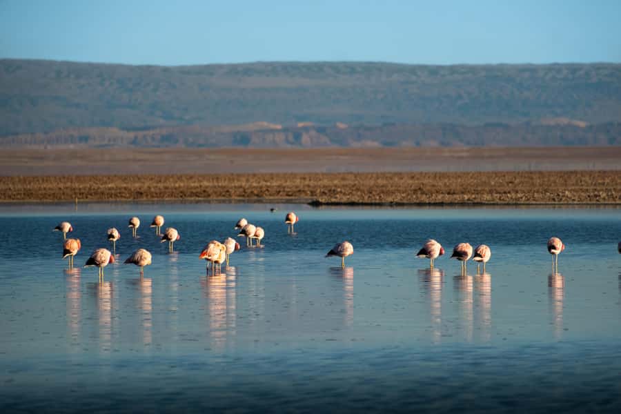 San Pedro de Atacama: Red Rocks & Altiplano Lagoons Day Trip - How to prepare for the altitude