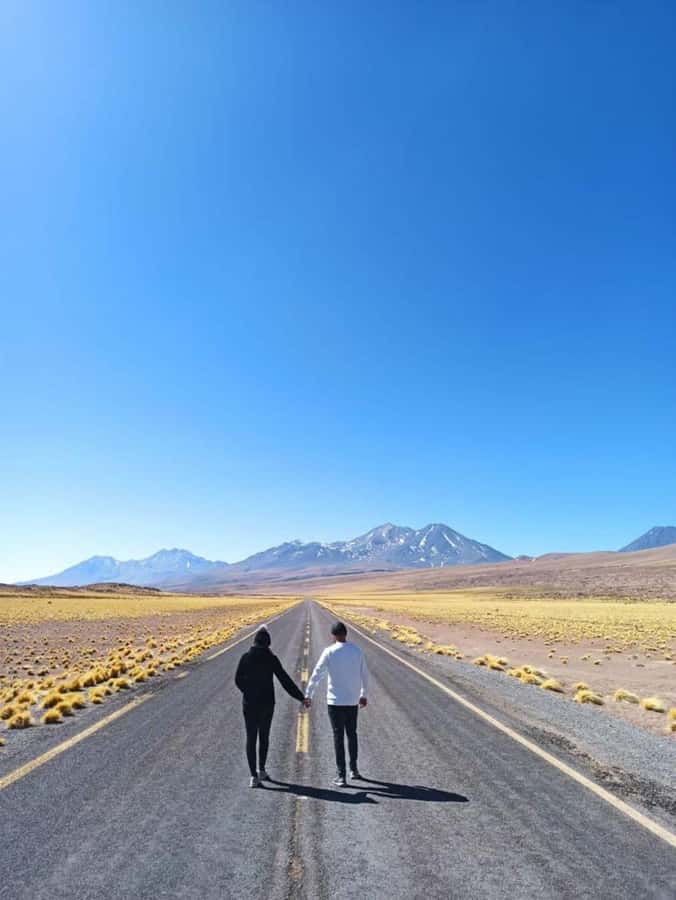 San Pedro de Atacama: Red Rocks and Aliplanic Lagoons - Piedras Rojas and the Salar de Talar