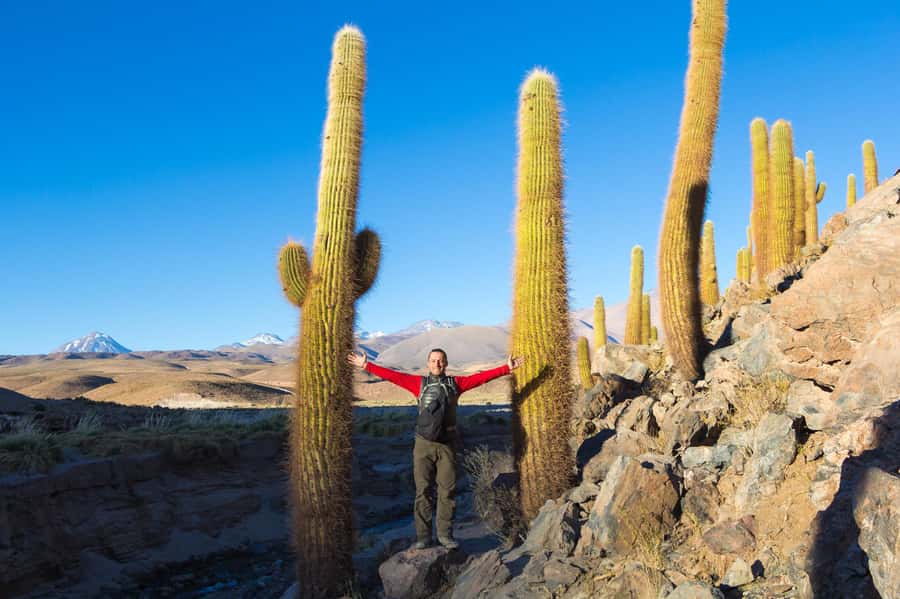San Pedro de Atacama: Saver Pack Tatio Geysers + Moon Valley - Should you book the geysers and Moon Valley package?
