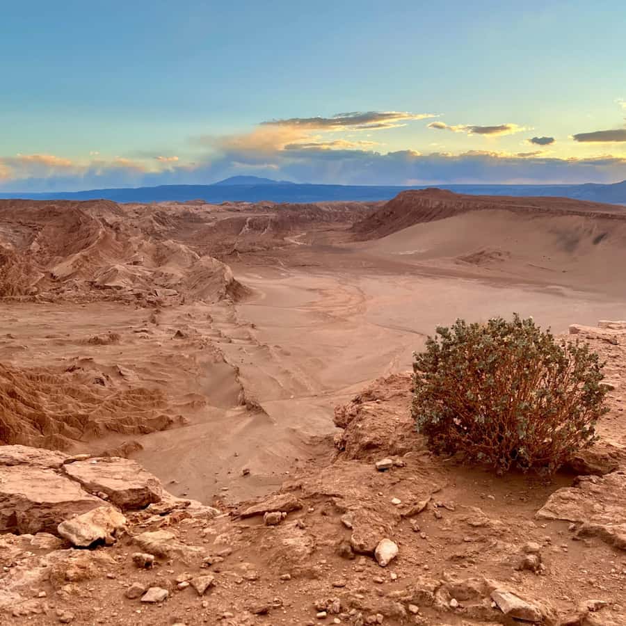 San Pedro de Atacama Tour Guiado Valle de la Luna & Cocktail - Ckary viewpoint and the cocktail pause