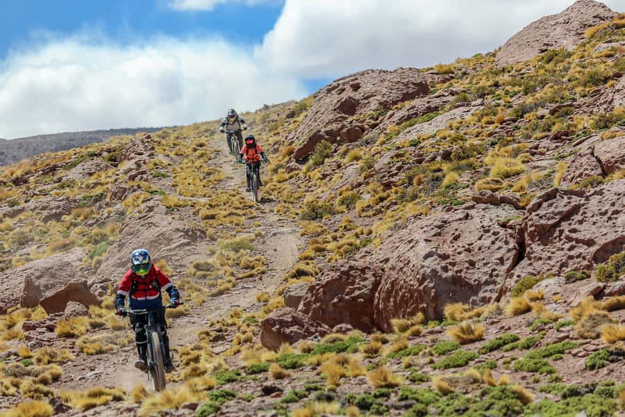 San Pedro de Atacama: Volcano Downhill Bike Tour - What is included, and why it matters