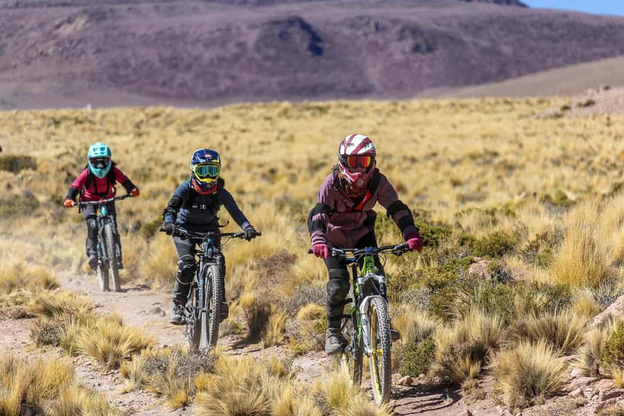 San Pedro de Atacama: Volcano Downhill Bike Tour - Who should book this experience