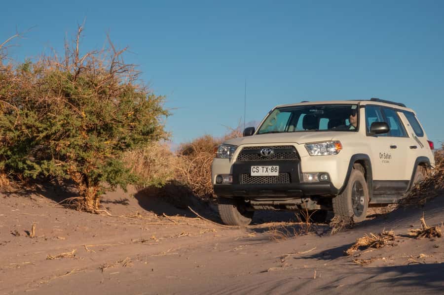 San Pedro de Atacama: Wildlife Safari and Photography Tour - Putana Highland and the 360-degree view