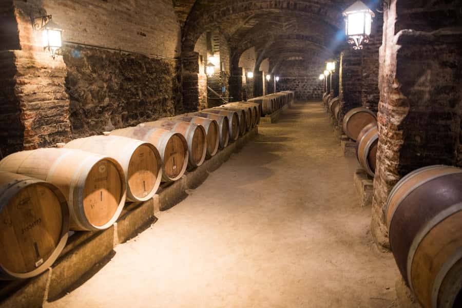 Santa Rita: Tour + Premium Wine Tasting + Private Transport - Key points to know before you book