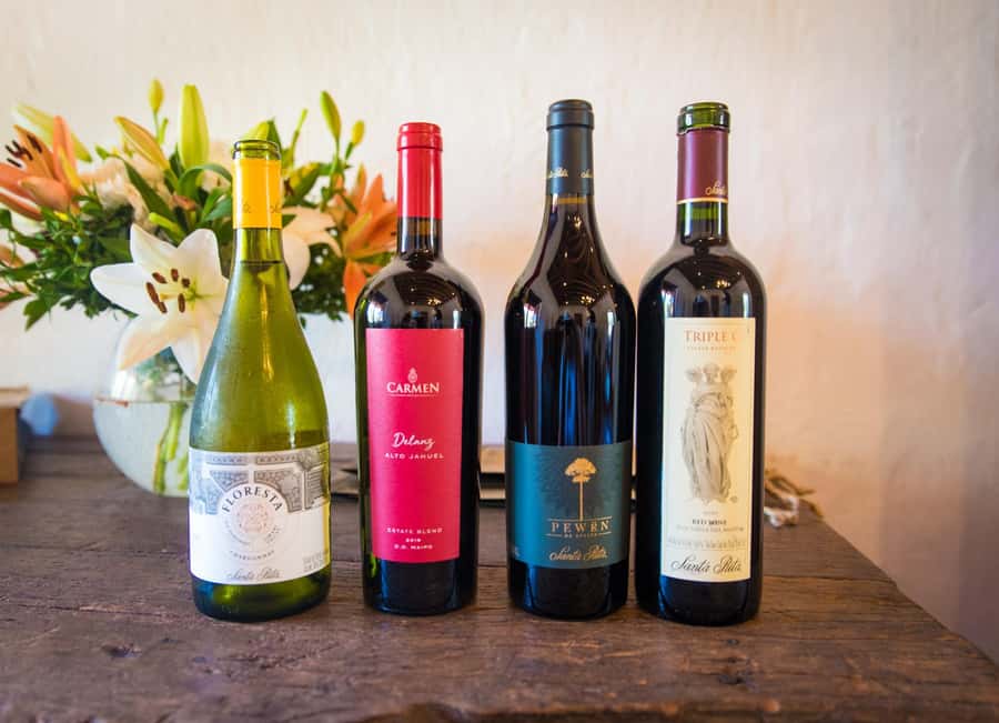 Santa Rita: Tour + Premium Wine Tasting + Private Transport - Should you book it?