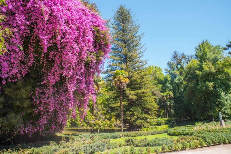 Santa Rita: Tour + Premium Wine Tasting + Private Transport - Santa Rita’s estate is more than a tasting room