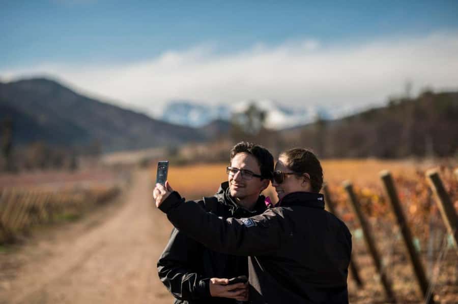 Santa Rita Vineyard Tour: History, Wine, and Outdoor Picnic - Walking through the vineyard and cellars