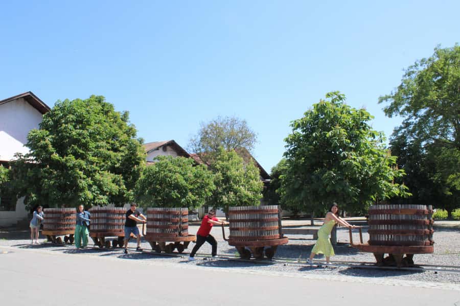 Santa Rita Vineyard Tour: History, Wine, and Outdoor Picnic - Tasting two Reserva wines and one Gran Reserva