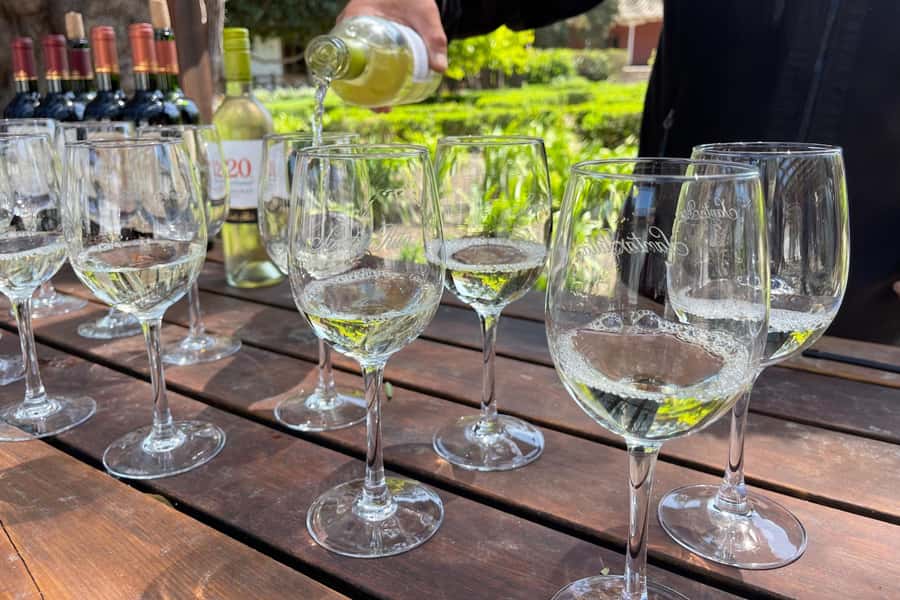 Santa Rita Vineyard Tour: History, Wine, and Outdoor Picnic - Who will enjoy this day most