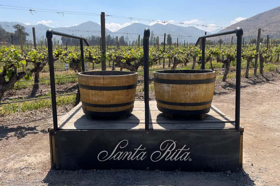 Santa Rita Vineyard Tour: History, Wine, and Outdoor Picnic - Centenary Park and the first look at the estate