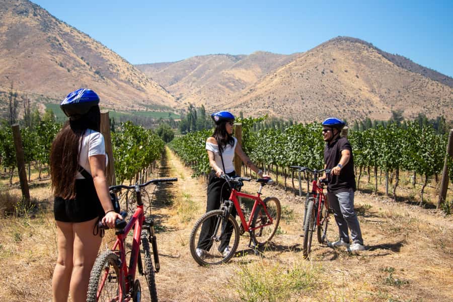 Santa Rita Vineyard Tour with Lunch, an Unforgettable Day! - Bike ride or walking tour through Santa Rita