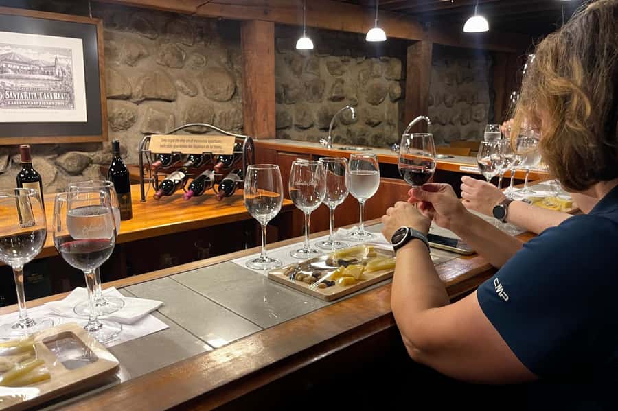 Santa Rita Vineyard Tour with Lunch, an Unforgettable Day! - The Andean Museum and its pre-Columbian collection