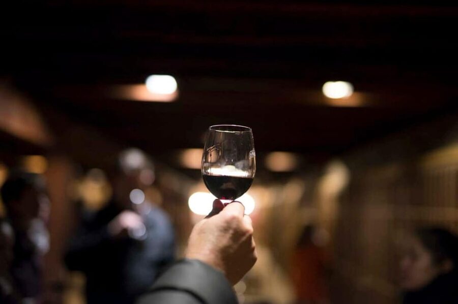 Santa Rita Vineyard Tour with Lunch, an Unforgettable Day! - How the timing shapes the day