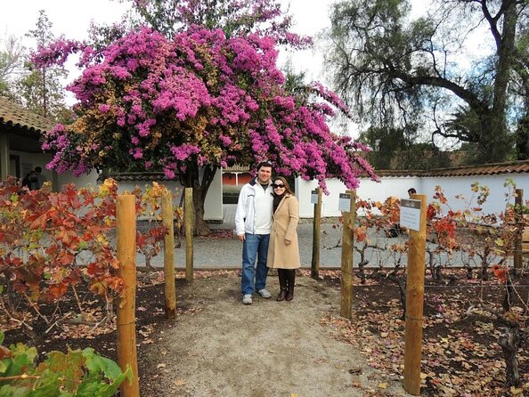Santa Rita Winery Selection Tour - Why Santa Rita Makes a Good First Winery Visit