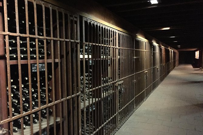 Santa Rita Winery Selection Tour - Getting to Alto Jahuel From Santiago