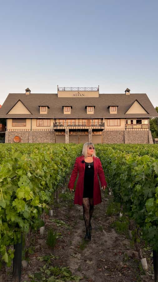Santiago: Alyan Winery Sunset with Wine Tastings and Dinner - The van ride from Santiago