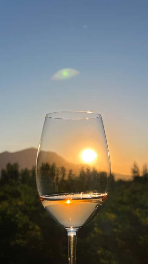 Santiago: Alyan Winery Sunset with Wine Tastings and Dinner - Cheese, ham, nuts, and an informal dinner