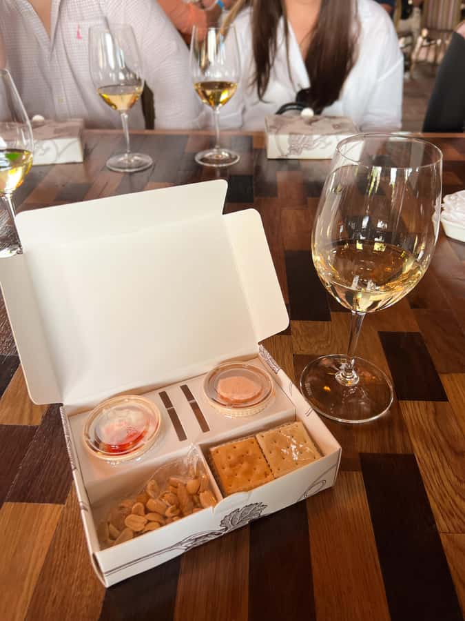 Santiago: Alyan Winery Sunset with Wine Tastings and Dinner - Who should book this experience