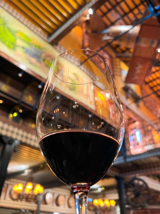 Santiago: Alyan Winery Sunset with Wine Tastings and Dinner - The bottom line: is Alyan Sunset worth it?