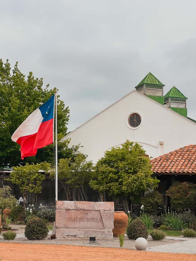 Santiago: Casa del Bosque Winery with Tasting and Lunch - Key points at a glance