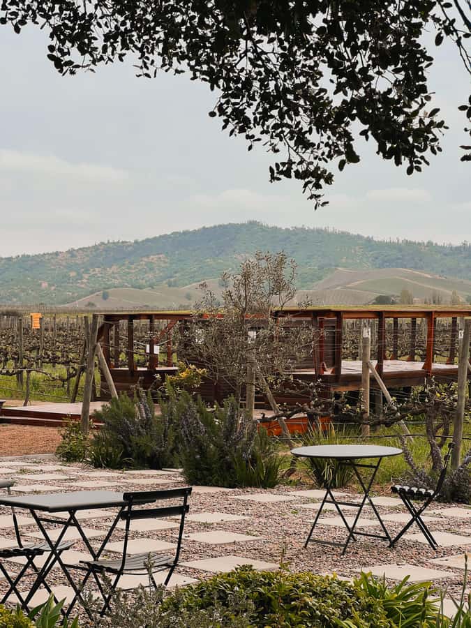 Santiago: Casa del Bosque Winery with Tasting and Lunch - Walking through the winery for 1.5 hours