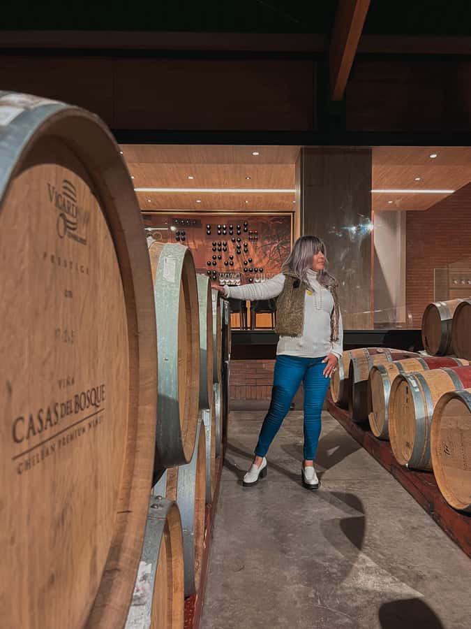 Santiago: Casa del Bosque Winery with Tasting and Lunch - Four wines, then two more with lunch