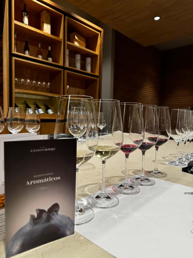 Santiago: Casa del Bosque Winery with Tasting and Lunch - Is the $120 price fair?