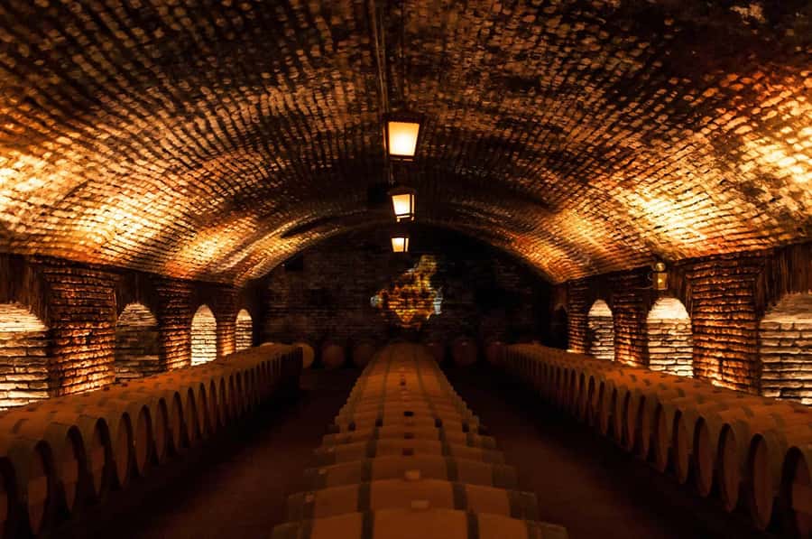 Santiago: Concha y Toro and Undurraga Vineyards Tour - Key points at a glance