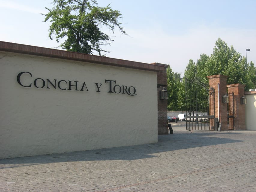 Santiago: Concha y Toro and Undurraga Vineyards Tour - Guides, drivers, and group size