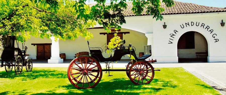 Santiago: Concha y Toro and Undurraga Vineyards Tour - Who should book this outing?