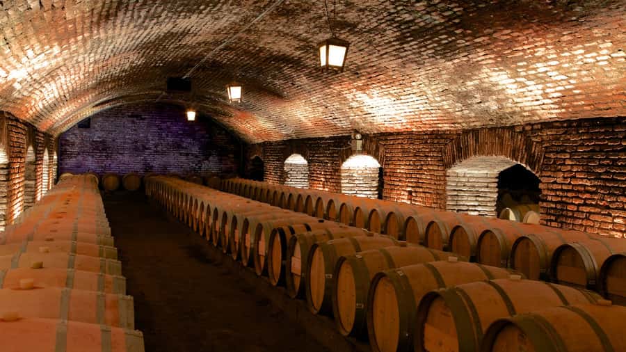 Santiago: Concha y Toro Vineyard Tour w/ Transfer & Tasting - Key details before you book