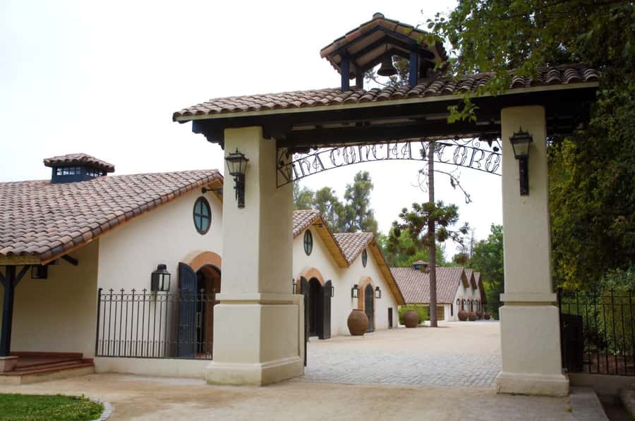 Santiago: Concha y Toro Vineyard Tour w/ Transfer & Tasting - Why Concha y Toro makes an easy Santiago side trip