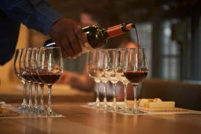 Concha y Toro Vineyard Tour w/ Transfer & Tasting