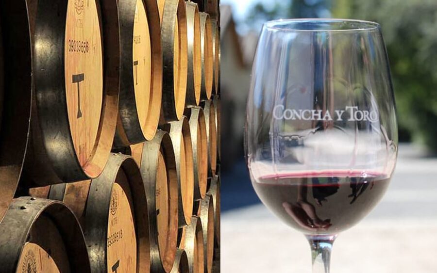 Santiago: Concha y Toro Vineyard Tour w/ Transfer & Tasting - Who will get the most from this tour?