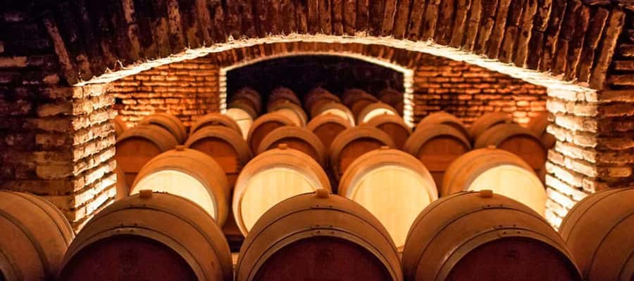 Santiago: Concha y Toro Winery 4–Hour Tour & Sommelier Class - From Santiago to the Maipo Valley