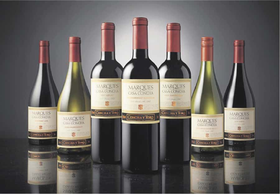 Santiago: Concha y Toro Winery 4–Hour Tour & Sommelier Class - Who will enjoy this winery visit