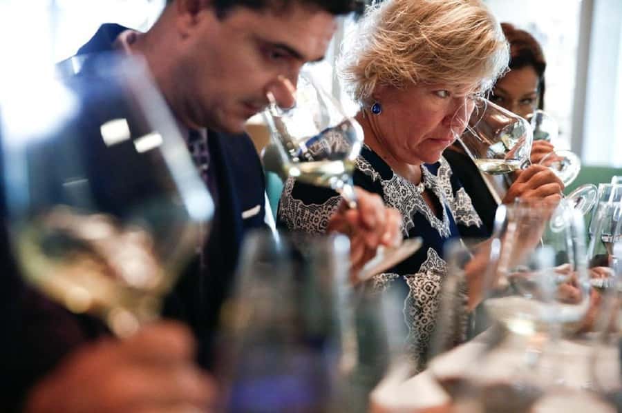 Santiago: Concha y Toro Winery 4–Hour Tour & Sommelier Class - Old Pirque and the Maipo Valley view