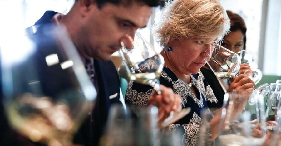 Santiago: Concha y Toro Winery 4–Hour Tour & Sommelier Class - Three standard wines, then four premium labels