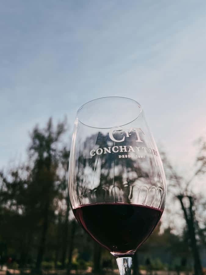 Santiago: Concha y Toro with transfer, tasting & gift cup - The family gardens and summer residence