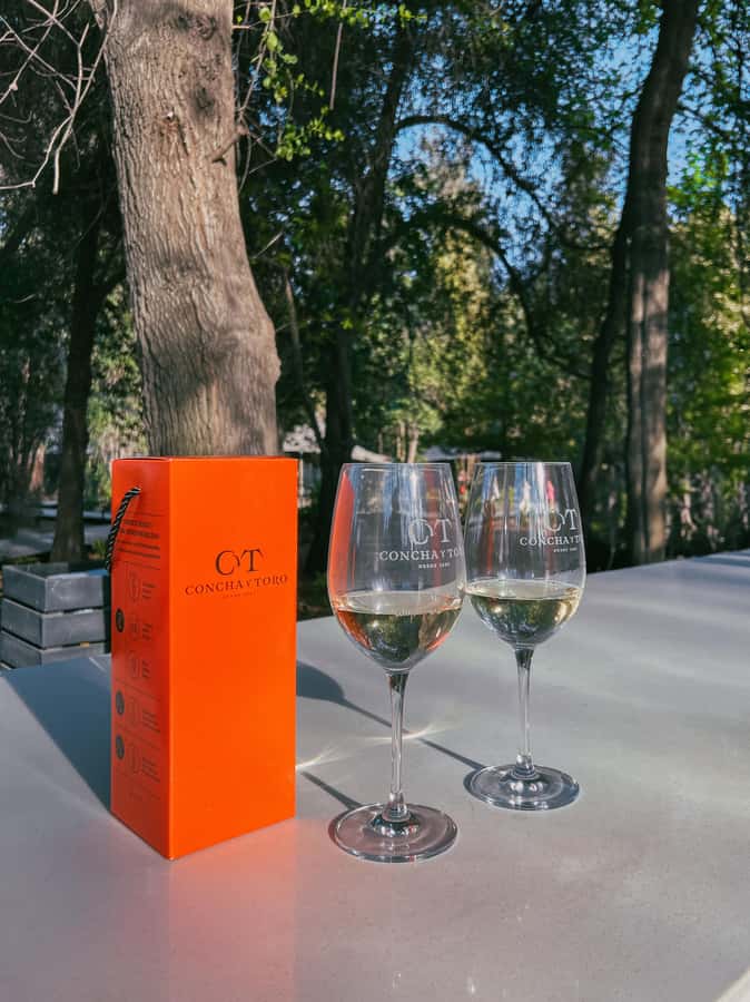 Santiago: Concha y Toro with transfer, tasting & gift cup - Who will get the most from this tour